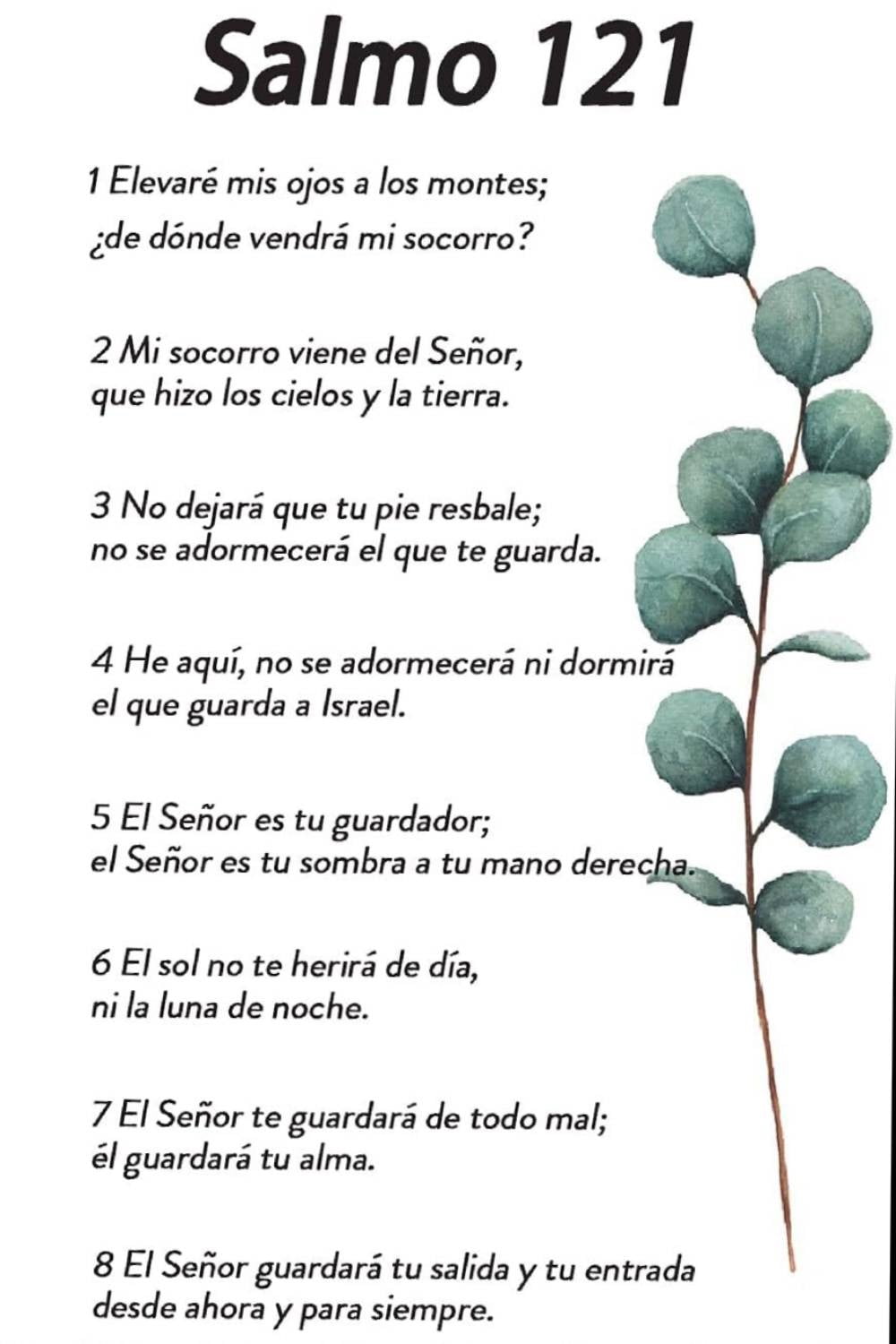 Salmo 121 En Espaol