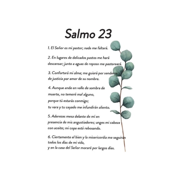 Salmo 23 Bible Verse Wall Art En Español Psalm 23 Scripture Christian Prayer Room Office Home Decor Print Poster