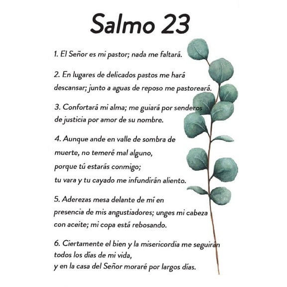 Salmo 23 En Español Para Pared Bible Verse Wall Art Scripture Biblical Psalm 23 Canvas Painting Christian Prayer Room Office Living Home Decor poster