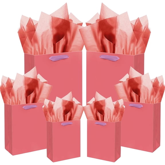 Salmon Gift Bags with Tissue Paper Mulit Assorted Sizes 10PCS Present Birthday Bags(2pcs Large 13", 4pcs Medium 9", 4pcs Small 6"，22pcs Tissue Paper)