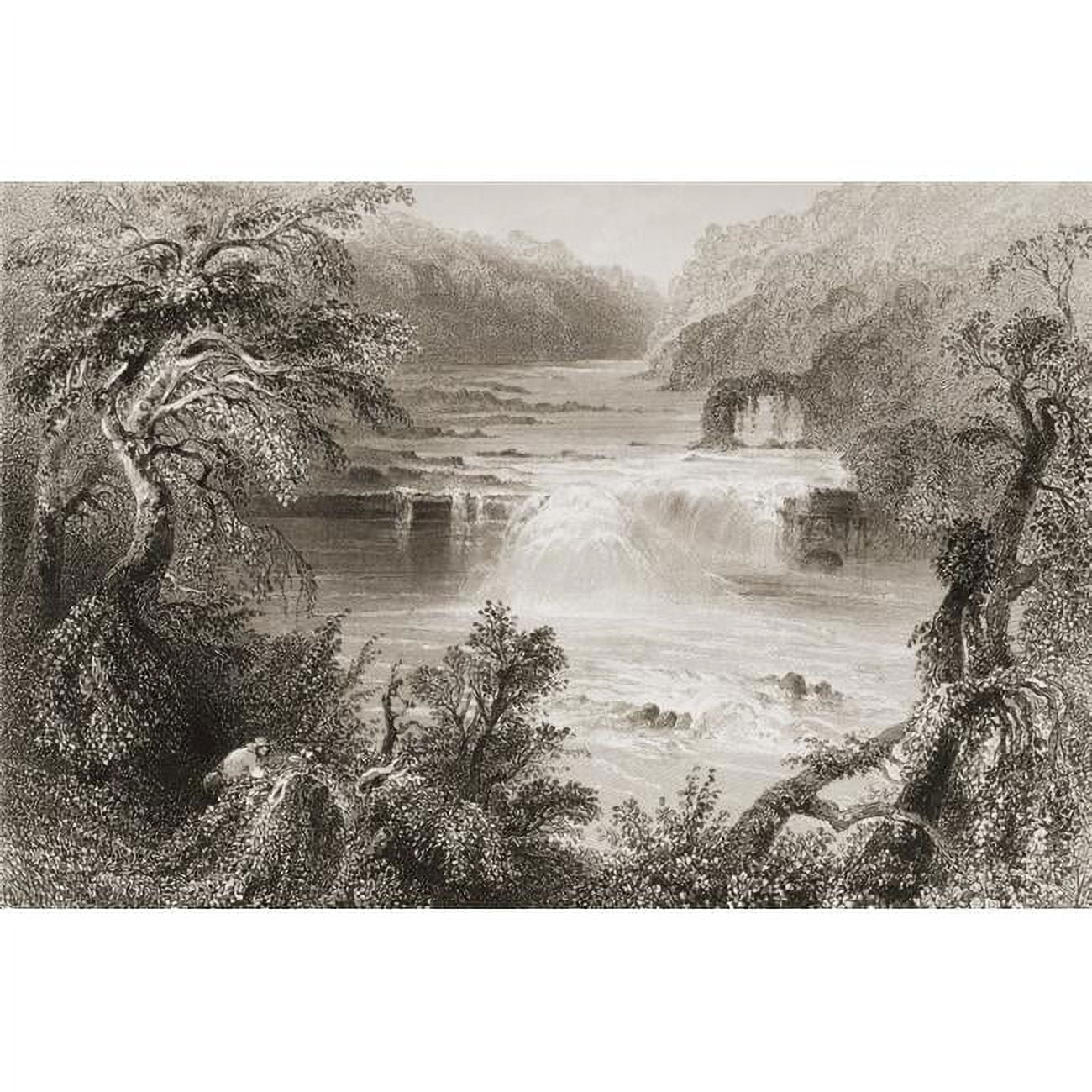 Salmon Leap At Leixlip County Kildare Ireland Drawn by Whbartlett