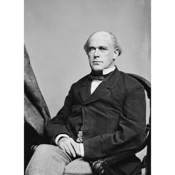 Salmon P. Chase Unsuccessfully Sought The Republican Presidential Nomination In 1856 And 1860. He Was