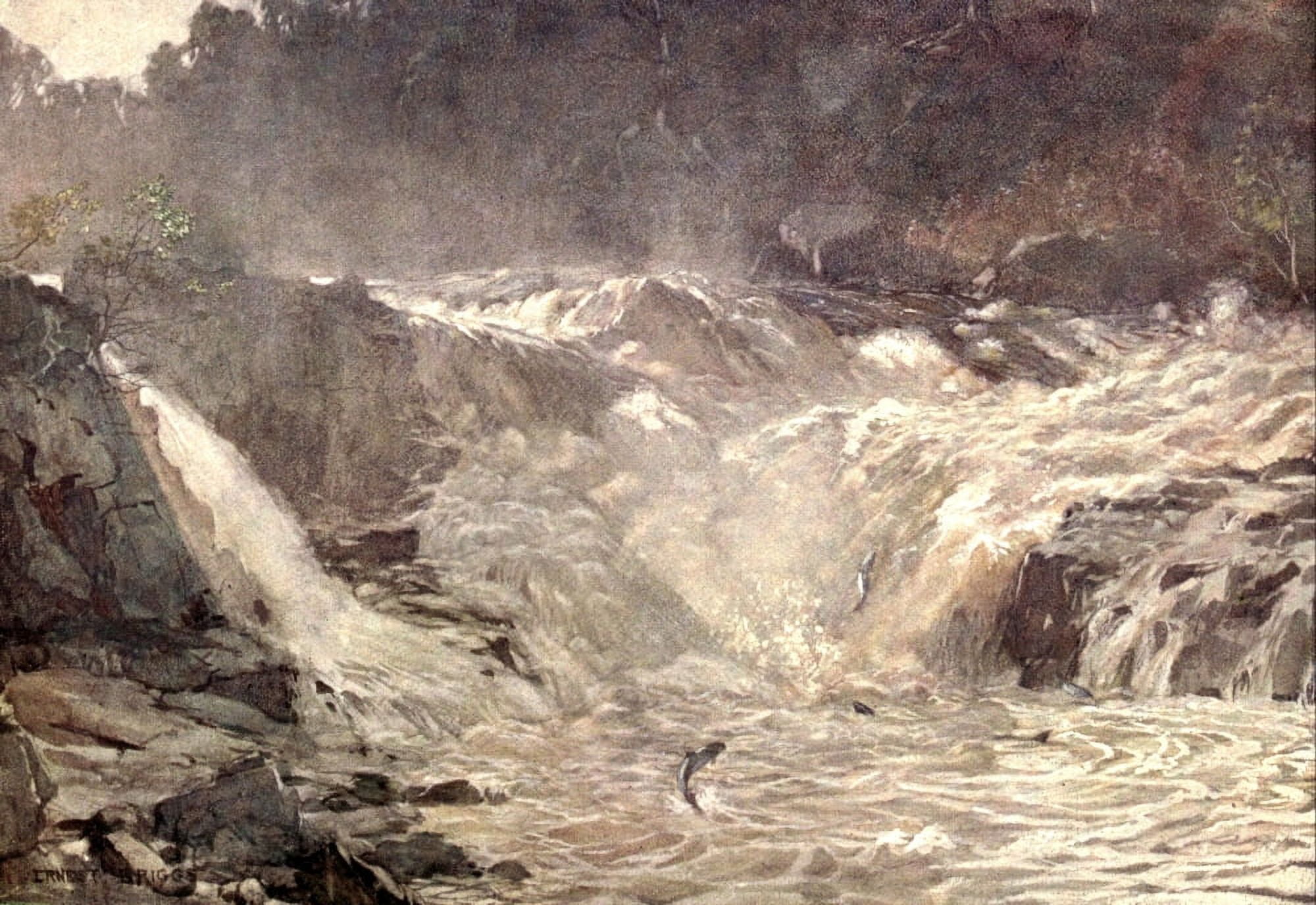 Salmon Rivers & Lochs of Scotland 1909 Falls of Tummel Canvas Art - Ernest Briggs (18 x 24)