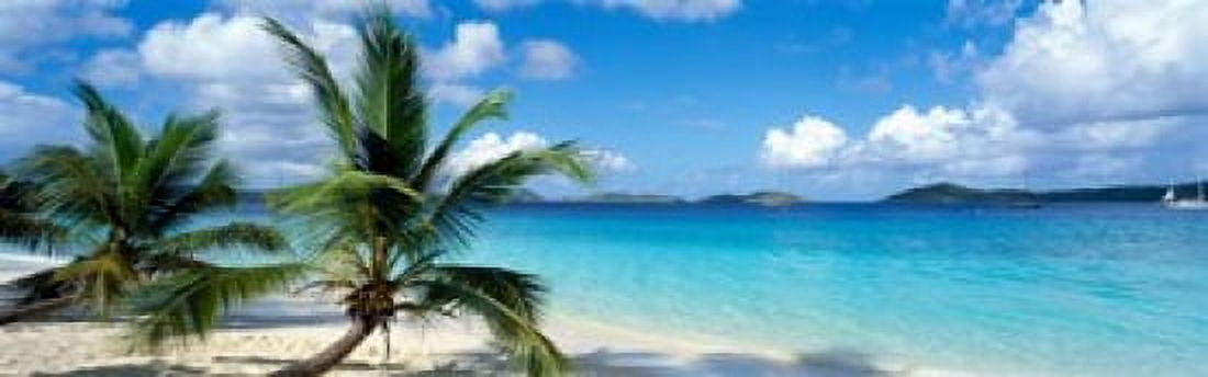 Salomon Beach US Virgin Islands Canvas Art - Panoramic Images (39 x 12)