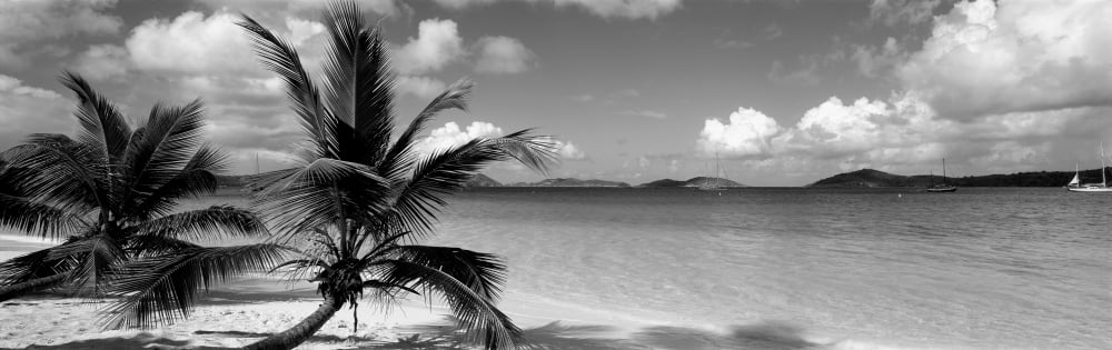 Salomon Beach US Virgin Islands Canvas Art - Panoramic Images (6 x 18)