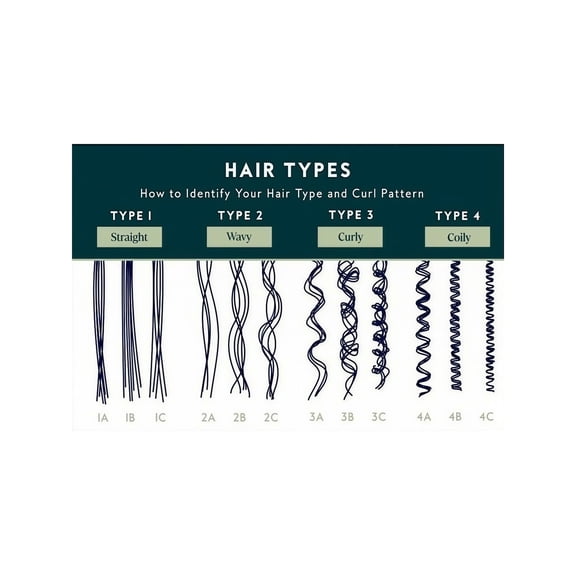 Salon Beauty School Wall Art Hair Texture and Curl Pattern Chart Poster Professional Stylist Care Guide