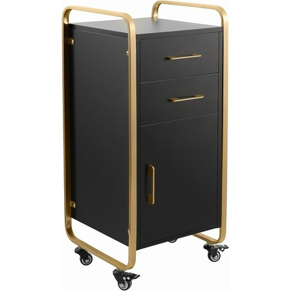 Salon Cart with Wheels, Rolling Station for Hair Stylist, 2 Drawers Storage Cabinet, Hair Station Rolling Cart for Hair Stylist Beauty Spa Barbershop