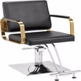 Salon Chair Styling Barber Chair, Beauty Salon Spa Equipment with Heavy
