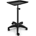 Salon Tray Cart with Storage Platform, Aluminum Tattoo Tray on Wheels