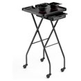 Salon Tray on Wheels Foldable, Color Trays for Hairstylist Esthetician
