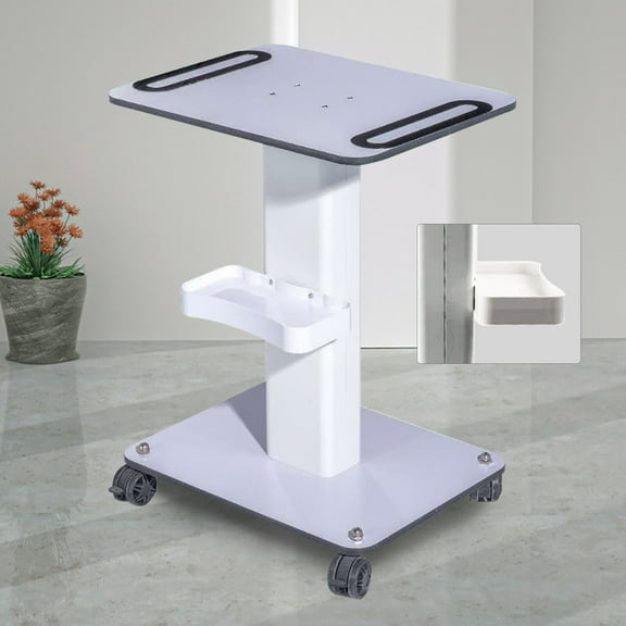 Salon Trolley, Beauty Rolling Cart, Beauty Instrument Cart 20.47*15.75*27.17in Salon Trolley for Beauty Salons, Barber Shops, Studios