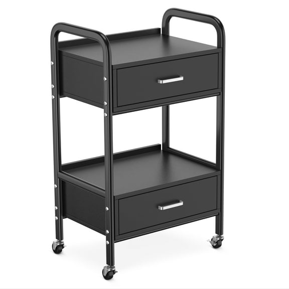Salon Trolley Cart, Salon Tray Mobile Utility Cabinet with 2 Drawers, Rolling Storage Station Medical Esthetic Supply Holder for Beauty Spa (Black)