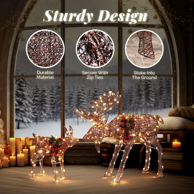 SalonMore Lighted Christmas Decoration Deer 2 Piece, Light up Christmas