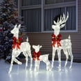 thumbnail image 1 of SalonMore Outdoor Christmas Decorations, 3-Piece Lighted Christmas Deer Set  210LED Waterproof Decor for Indoor Outdoor Garden Yard Lawn Holiday Party, 1 of 10