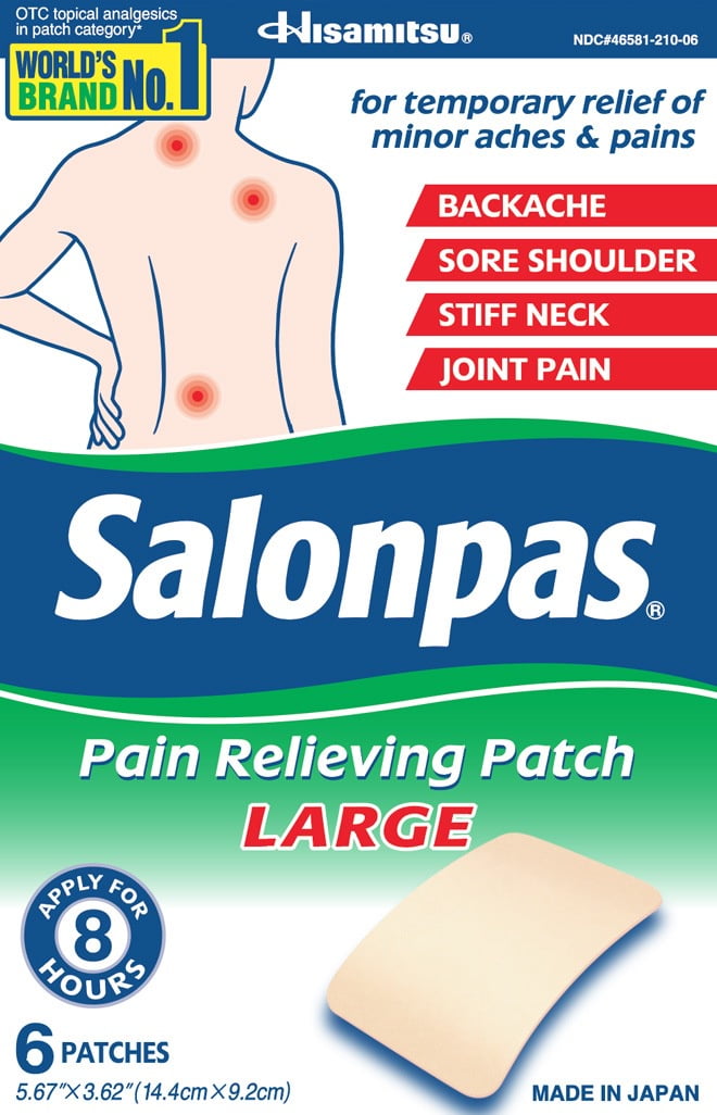 Salonpas Pain Relief Patch, Large 6 ea (Pack of 3)