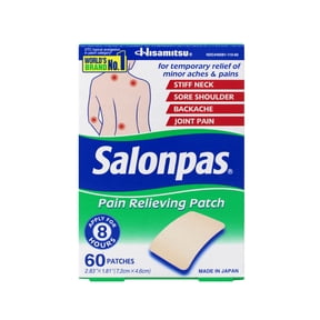 Salonpas Pain Relief Patches 60 ea