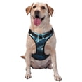 thumbnail image 1 of Salouo 3D Realistic Shark for Dog Harness, No-Pull Pet Harness Adjustable Dog Vest No-Choke Reflective Pet Vest for Small, Medium & Large Dogs for Training & Walking-Large, 1 of 6