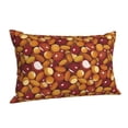thumbnail image 1 of Salouo Almond Nuts Pattern Pillow Cases,1PC Pillow Covers with Envelope Closure Decorative Pillow Case for Bed Couch,Pillows Not Included-16"x24", 1 of 6