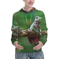 thumbnail image 1 of Salouo Australian White Tree Frog Sitting on Branch Pattern Hoodie Sweatshirts for Women, Autumn Pullover Hoodie Workout Sweat Women's Long Sleeve Preppy Sweatshirts-Large, 1 of 7