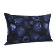 thumbnail image 1 of Salouo Blue-Purple Raspberries Pattern Pillow Cases,1PC Pillow Covers with Envelope Closure Decorative Pillow Case for Bed Couch,Pillows Not Included-20"x30", 1 of 6
