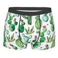 thumbnail image 1 of Salouo Cactus Plants1 Print Men's Boxer Briefs,Breathable Underwear Elastic Waistband Briefs for Men -Medium, 1 of 8