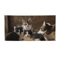 thumbnail image 1 of Salouo Cat Family Pattern Holiday Banner Outside Party Decoration Banner (1PC) Festival Supplies Fit for Birthday Parties & Celebrations & Chrismas-Medium, 1 of 8