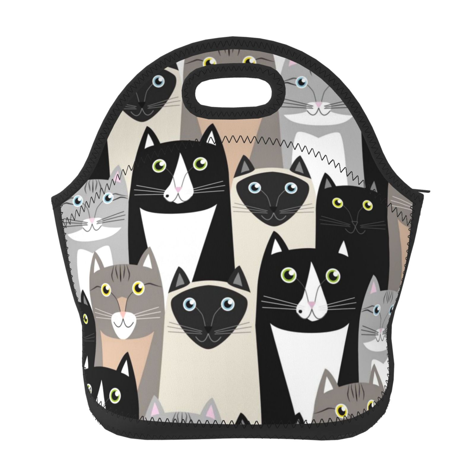 Salouo Colors Cats for Lunch Tote,Lunch Bag Insulated Lunch Box