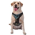 thumbnail image 1 of Salouo Forest River Bald Eagle for Dog Harness, No-Pull Pet Harness Adjustable Dog Vest No-Choke Reflective Pet Vest for Small, Medium & Large Dogs for Training & Walking-Medium, 1 of 6