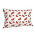 thumbnail image 1 of Salouo Hand Drawn Watermelon Pattern Pillow Cases,1PC Pillow Covers with Envelope Closure Decorative Pillow Case for Bed Couch,Pillows Not Included-14"x20", 1 of 1