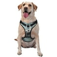 thumbnail image 1 of Salouo Panda In Futuristic City for Dog Harness, No-Pull Pet Harness Adjustable Dog Vest No-Choke Reflective Pet Vest for Small, Medium & Large Dogs for Training & Walking-Small, 1 of 6
