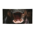thumbnail image 1 of Salouo Playful Baby Hippo Splash Pattern Holiday Banner Outside Party Decoration Banner (1PC) Festival Supplies Fit for Birthday Parties & Celebrations & Chrismas-Medium, 1 of 8