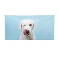 thumbnail image 1 of Salouo Puppy Licks Nose Pattern Holiday Banner Outside Party Decoration Banner (1PC) Festival Supplies Fit for Birthday Parties & Celebrations & Chrismas-Medium, 1 of 8