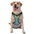thumbnail image 1 of Salouo Rainbow Glitter for Dog Harness, No-Pull Pet Harness Adjustable Dog Vest No-Choke Reflective Pet Vest for Small, Medium & Large Dogs for Training & Walking-Medium, 1 of 6