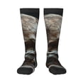thumbnail image 1 of Salouo Realistic Rose Skull Print Women's Men's Ankle Socks 1-pack Casual Athletic Socks for Unisex Adult Moisture-Wicking Socks for Daily Wear/Running/Sport, 1 of 8
