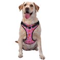 thumbnail image 1 of Salouo Strawberry Floral for Dog Harness, No-Pull Pet Harness Adjustable Dog Vest No-Choke Reflective Pet Vest for Small, Medium & Large Dogs for Training & Walking-Small, 1 of 6