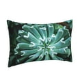 thumbnail image 1 of Salouo Teal Cactus Print Print Pillow Case Cover,Wrinkle-Free Bed Pillow Cover Pack of 1 Home Decor Fade-Resistant and Stain-Resistant ,Pillows Not Included -20"x30", 1 of 8