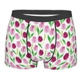 thumbnail image 1 of Salouo Tulips Flowers Print Men's Boxer Briefs,Breathable Underwear Elastic Waistband Briefs for Men -X-Large, 1 of 8