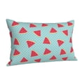 thumbnail image 1 of Salouo Watermelon Pattern Pillow Cases,1PC Pillow Covers with Envelope Closure Decorative Pillow Case for Bed Couch,Pillows Not Included-16"x24", 1 of 6