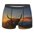 thumbnail image 1 of Salouo Yak Print Men's Boxer Briefs,Breathable Underwear Elastic Waistband Briefs for Men -X-Large, 1 of 8