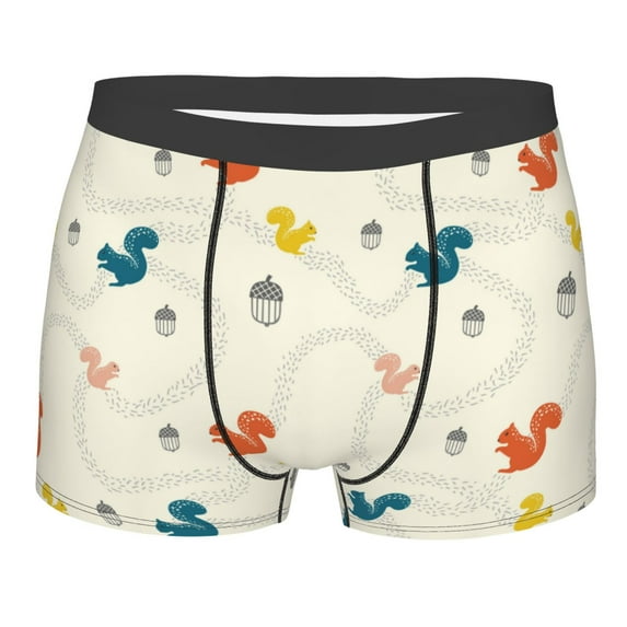 Salouo colorful Squirrel Nuts Print Men's Boxer Briefs,Breathable Underwear Elastic Waistband Briefs for Men -Large