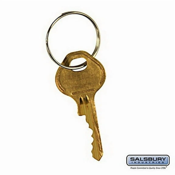 Salsbury Industries 33311 Master Control Key - for Built-in Combination Lock of Designer Wood Locker