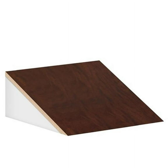 Salsbury Industries Sloping Hood