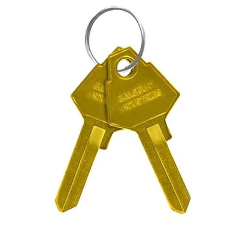 salsbury 33329 key blanks - for key padlocks of designer lockers - box of 50