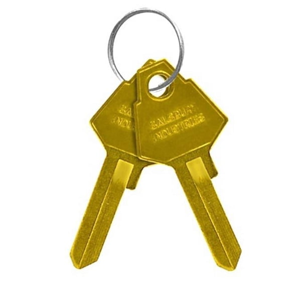 salsbury 33329 key blanks - for key padlocks of designer lockers - box of 50