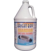 Salt Cell Cleaner, Guardian, 1 gal.