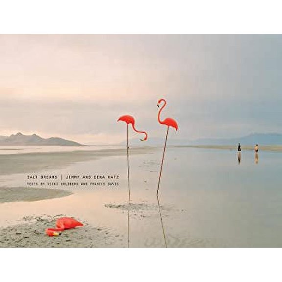 Pre-Owned Salt Dreams (Hardcover) 9781576873168