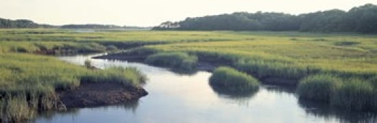 Salt Marsh Cape Cod MA USA Canvas Art - Panoramic Images (36 x 12)