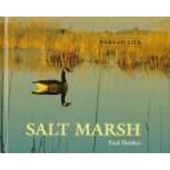 Pre-Owned Salt Marsh (Hardcover) 0761408347 9780761408345