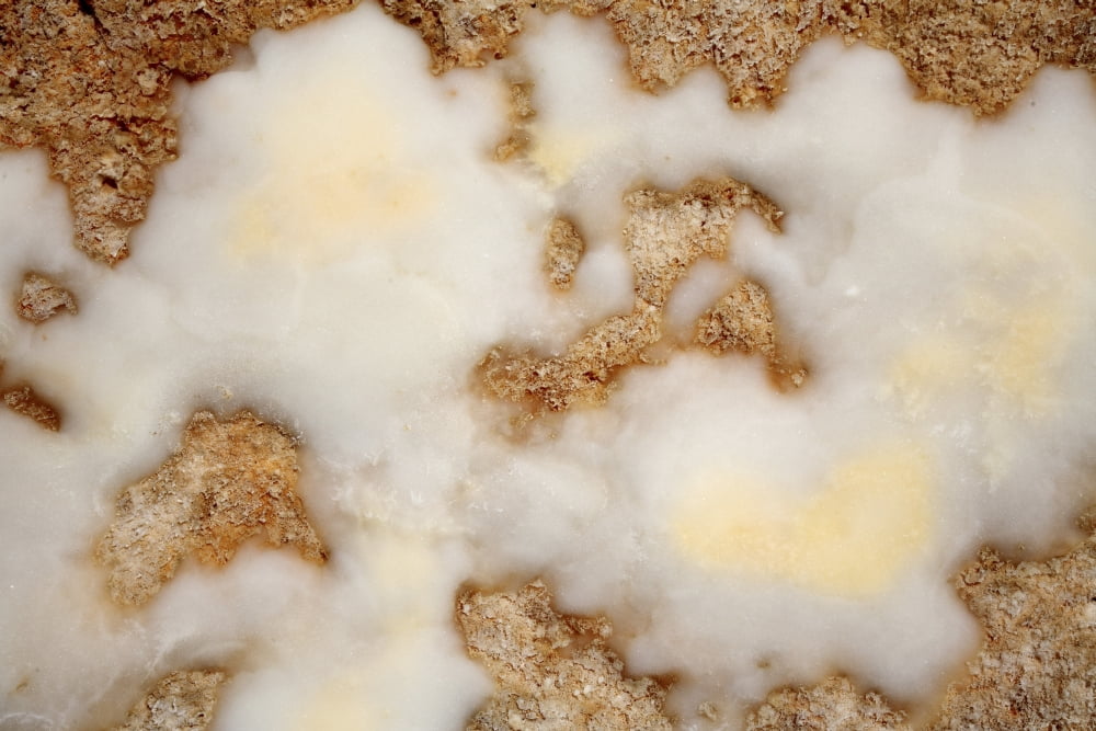 Salt deposits after evaporation of waters from saline hot spring Dallol geothermal area Ethiopia Canvas Art - Richard RoscoeStocktrek Images (35 x 23)