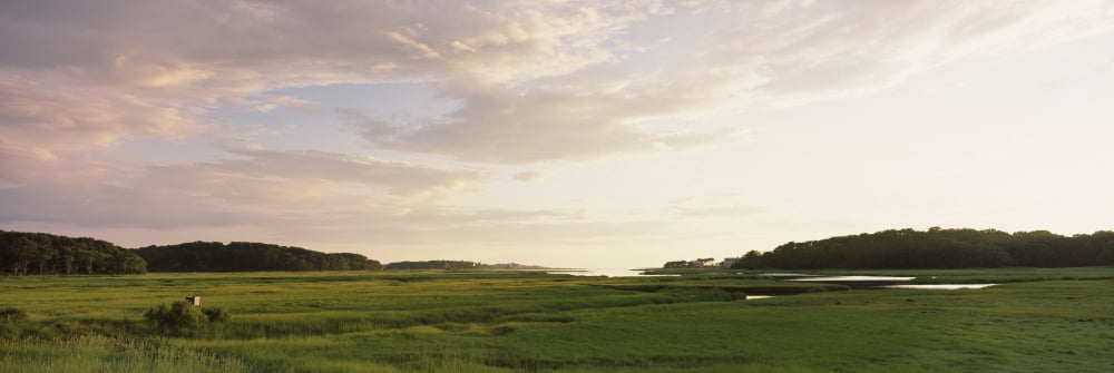 Salt pond in a forest Cape Cod Massachusetts USA Canvas Art - Panoramic Images (6 x 18)
